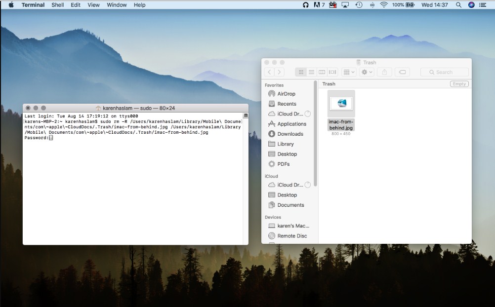 mac command force empty trash