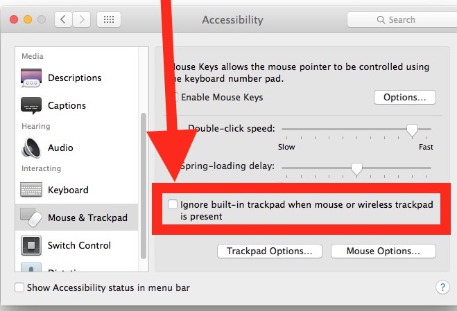 accessibilité-souris-mac