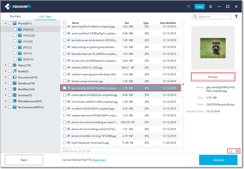 recoverit-preview-files-1