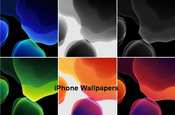 iOS 13 Wallpaper– How to Fix the Live Wallpaper Issue on an iPhone