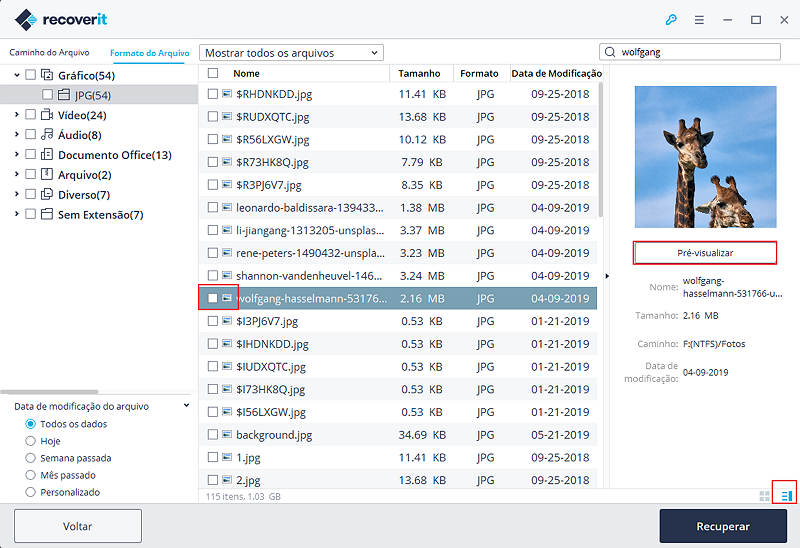 recoverit-preview-files-1