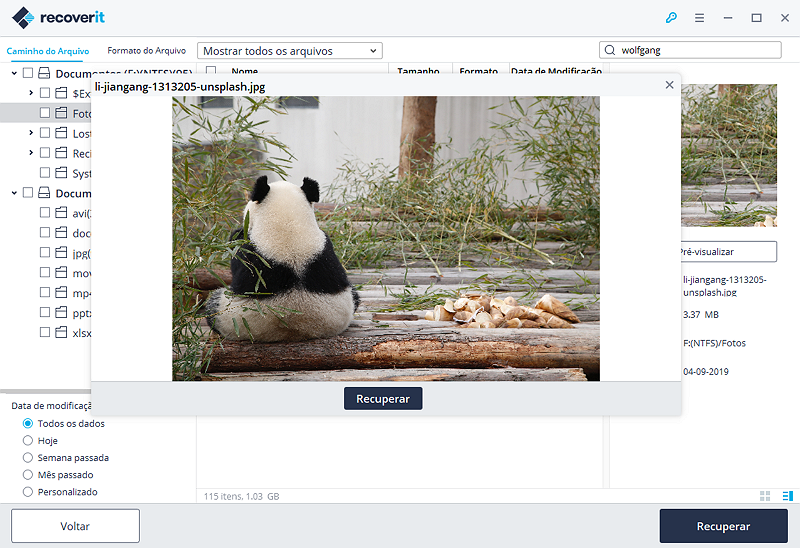 recoverit-preview-files-2