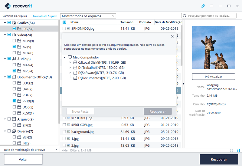 save-recovered-files