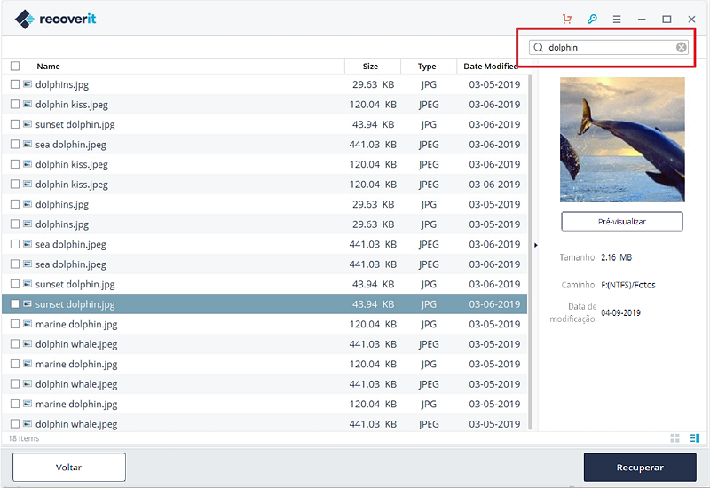 search-file-path