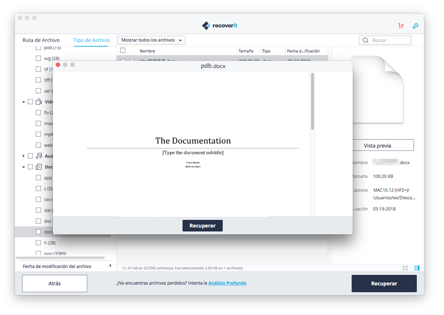 previsualizar documento de Word